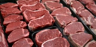 New food pyramid, Affordable Care Act: Morning Rounds New food pyramid, Affordable Care Act: Morning Rounds