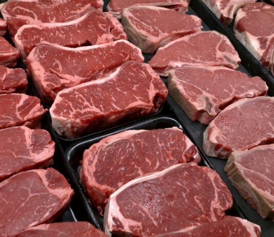 New food pyramid, Affordable Care Act: Morning Rounds New food pyramid, Affordable Care Act: Morning Rounds