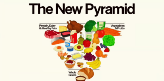 New food pyramid emphasizes colorful, balanced diet New food pyramid emphasizes colorful, balanced diet