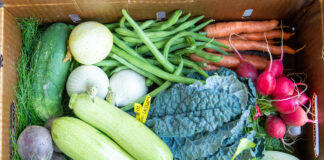 New year nutrition: A Stanford dietitian’s tips for maintaining healthy eating resolutions New year nutrition: A Stanford dietitian’s tips for maintaining healthy eating resolutions