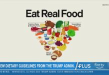 Nutrition expert weighs in on new food pyramid, federal dietary guidelines Nutrition expert weighs in on new food pyramid, federal dietary guidelines