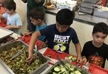 RFK Jr.’s dietary guidelines promote whole foods, proteins and healthy fats RFK Jr.’s dietary guidelines promote whole foods, proteins and healthy fats