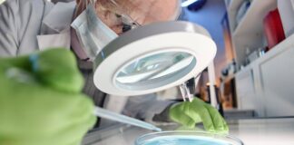 Scientists make breakthrough that could transform bowel and liver cancer treatment Scientists make breakthrough that could transform bowel and liver cancer treatment