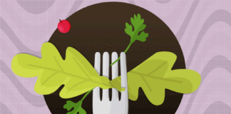 She Always Felt Hungry Until She Made This Diet Tweak She Always Felt Hungry Until She Made This Diet Tweak