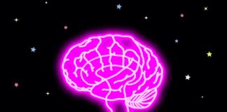 The #1 Habit to Start to Improve Your Memory The #1 Habit to Start to Improve Your Memory