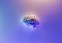 These Whole-Health Habits May Slow Your Brain’s Aging, Study Reveals These Whole-Health Habits May Slow Your Brain’s Aging, Study Reveals