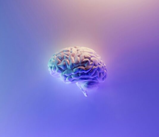 These Whole-Health Habits May Slow Your Brain’s Aging, Study Reveals These Whole-Health Habits May Slow Your Brain’s Aging, Study Reveals