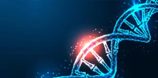 This CRISPR breakthrough turns genes on without cutting DNA This CRISPR breakthrough turns genes on without cutting DNA