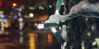 Tips for managing weight, stress during the holidays Tips for managing weight, stress during the holidays