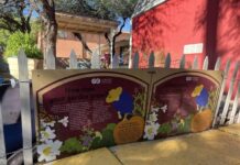 Tucson garden supports students after nutrition cuts Tucson garden supports students after nutrition cuts