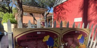 Tucson garden supports students after nutrition cuts Tucson garden supports students after nutrition cuts