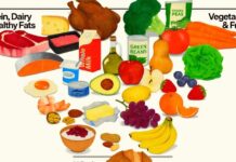 West Virginia nutrition experts weigh impact of new federal dietary guidelines | WV News West Virginia nutrition experts weigh impact of new federal dietary guidelines | WV News