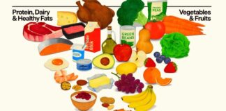 West Virginia nutrition experts weigh impact of new federal dietary guidelines | WV News West Virginia nutrition experts weigh impact of new federal dietary guidelines | WV News