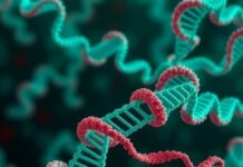 mRNA Breakthroughs in HIV-1 Prevention and Treatment mRNA Breakthroughs in HIV-1 Prevention and Treatment