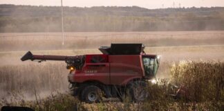 ‘Ask for help’: Mental health resources and stress management tips for farmers ‘Ask for help’: Mental health resources and stress management tips for farmers