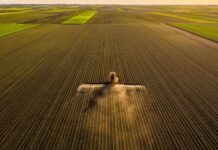 ‘Ask for help’ mental health resources and stress management ti… ‘Ask for help’ mental health resources and stress management ti...