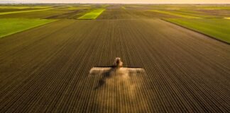 ‘Ask for help’ mental health resources and stress management ti… ‘Ask for help’ mental health resources and stress management ti...