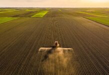 ‘Ask for help’ mental health resources and stress management tips offered to farmers ‘Ask for help’ mental health resources and stress management tips offered to farmers