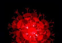 Advances in Pediatric Rhabdoid Tumour Treatments Explored Advances in Pediatric Rhabdoid Tumour Treatments Explored