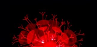 Advances in Pediatric Rhabdoid Tumour Treatments Explored Advances in Pediatric Rhabdoid Tumour Treatments Explored