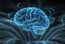 Breakthrough Study Shows Sound Stimulation May Help Clear Alzheimer’s Plaques Breakthrough Study Shows Sound Stimulation May Help Clear Alzheimer’s Plaques