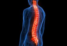 Breakthrough spinal cord injury treatment could reverse paralysis, study finds Breakthrough spinal cord injury treatment could reverse paralysis, study finds