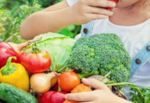 CSA Voucher Program offered by UK HR Health and Wellness CSA Voucher Program offered by UK HR Health and Wellness