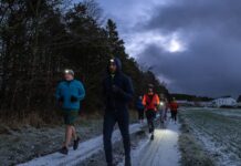 Column | 8 science-backed habits for a healthier heart Column | 8 science-backed habits for a healthier heart