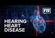 FIU researchers drive early detection and innovative cardiovascular care The Future of Heart Disease Detection Is Sound