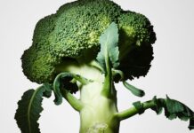 Fibermaxxing Is a Diet Trend Even Nutritionists Can Love Fibermaxxing Is a Diet Trend Even Nutritionists Can Love