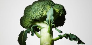 Fibermaxxing Is a Diet Trend Even Nutritionists Can Love Fibermaxxing Is a Diet Trend Even Nutritionists Can Love