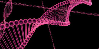 Global Breakthroughs: Cancer Reversed, Paralysis Cured, HPV Erased Global Breakthroughs: Cancer Reversed, Paralysis Cured, HPV Erased