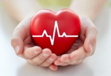 Heart health beyond habits: How food access, care gaps, and community partnerships shape outcomes in Hampton Roads Heart health beyond habits: How food access, care gaps, and community partnerships shape outcomes in Hampton Roads