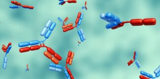 Ivonescimab Breakthrough Designation Highlights Progress in BTC Treatment Ivonescimab Breakthrough Designation Highlights Progress in BTC Treatment
