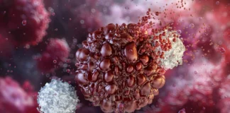 One stem cell generates 14 million tumor-killing NK cells in major cancer breakthrough One stem cell generates 14 million tumor-killing NK cells in major cancer breakthrough