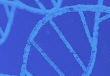 Protein Mapping Breakthrough Offers Hope for Brain Disease Treatment Protein Mapping Breakthrough Offers Hope for Brain Disease Treatment