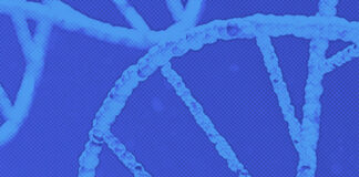 Protein Mapping Breakthrough Offers Hope for Brain Disease Treatment Protein Mapping Breakthrough Offers Hope for Brain Disease Treatment