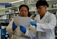 Rare Disease Day highlights advances in gene therapy Rare Disease Day highlights advances in gene therapy