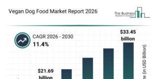 Structure of the Vegan Dog Food Market, Key Emerging Trends, Vegan Dog Food Market Size