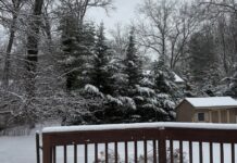 Student Blog: Healthy and Fun Habits for 2026 Student Blog: Healthy and Fun Habits for 2026