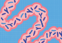 The #1 Habit to Start for Better Gut Health The #1 Habit to Start for Better Gut Health