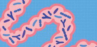 The #1 Habit to Start for Better Gut Health The #1 Habit to Start for Better Gut Health