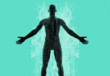 This Breakthrough Therapy ‘Reprograms‘ Cells to Regrow Cartilage This Breakthrough Therapy ‘Reprograms‘ Cells to Regrow Cartilage