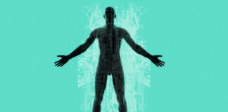 This Breakthrough Therapy ‘Reprograms‘ Cells to Regrow Cartilage This Breakthrough Therapy ‘Reprograms‘ Cells to Regrow Cartilage