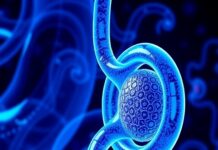 Breakthrough Senolytic Therapy Offers New Hope for Pancreatic Cancer (PDAC) Breakthrough Senolytic Therapy Offers New Hope for Pancreatic Cancer (PDAC)