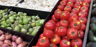 Building healthy habits for older adults (Derek Petersen, KSL)...