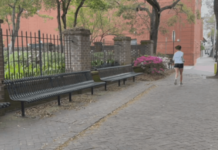 College of Charleston Run Club builds healthy habits beyond the finish line College of Charleston Run Club builds healthy habits beyond the finish line