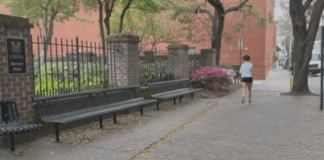 College of Charleston Run Club builds healthy habits beyond the finish line College of Charleston Run Club builds healthy habits beyond the finish line