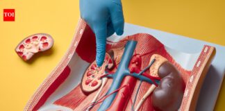 Doctors link diet and sedentary lifestyle to surge, share ways to prevent kidney stones and gout Doctors link diet and sedentary lifestyle to surge, share ways to prevent kidney stones and gout