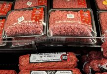 Gen Z men are eating ‘boy kibble’, the human equivalent to dog food, to load up on protein cheaply Gen Z men are eating ‘boy kibble’, the human equivalent to dog food, to load up on protein cheaply